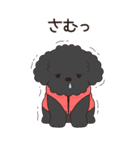 やさしいトイプー『年末年始2026』3（個別スタンプ：29）