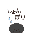 やさしいトイプー『年末年始2026』3（個別スタンプ：31）