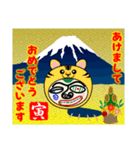 権蔵の毎年使える12支午年ver.（個別スタンプ：3）
