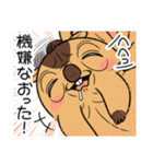 ワガマママーモット 16（個別スタンプ：8）