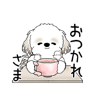 動くシーズー犬 2025 「やっぱ可愛いね」（個別スタンプ：3）
