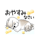 動くシーズー犬 2025 「やっぱ可愛いね」（個別スタンプ：4）