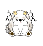 動くシーズー犬 2025 「やっぱ可愛いね」（個別スタンプ：9）