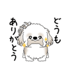 動くシーズー犬 2025 「やっぱ可愛いね」（個別スタンプ：10）