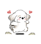 動くシーズー犬 2025 「やっぱ可愛いね」（個別スタンプ：14）
