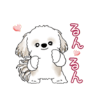 動くシーズー犬 2025 「やっぱ可愛いね」（個別スタンプ：15）
