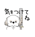 動くシーズー犬 2025 「やっぱ可愛いね」（個別スタンプ：17）