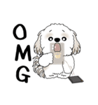 動くシーズー犬 2025 「やっぱ可愛いね」（個別スタンプ：18）