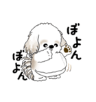 動くシーズー犬 2025 「やっぱ可愛いね」（個別スタンプ：21）