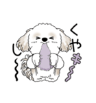 動くシーズー犬 2025 「やっぱ可愛いね」（個別スタンプ：22）