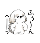 動くシーズー犬 2025 「やっぱ可愛いね」（個別スタンプ：23）