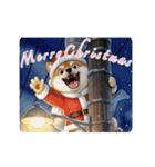 柴犬の年中使えるスタンプ（個別スタンプ：2）