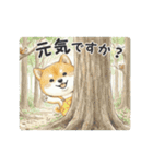 柴犬の年中使えるスタンプ（個別スタンプ：10）