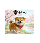 柴犬の年中使えるスタンプ（個別スタンプ：11）