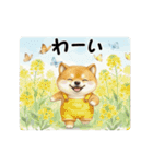 柴犬の年中使えるスタンプ（個別スタンプ：12）