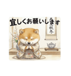 柴犬の年中使えるスタンプ（個別スタンプ：13）