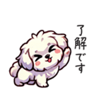 一年使えるマルチーズ（個別スタンプ：2）