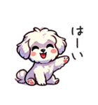 一年使えるマルチーズ（個別スタンプ：3）