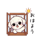 一年使えるマルチーズ（個別スタンプ：5）