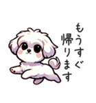 一年使えるマルチーズ（個別スタンプ：7）