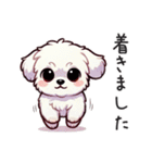 一年使えるマルチーズ（個別スタンプ：8）