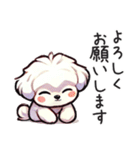 一年使えるマルチーズ（個別スタンプ：10）