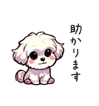 一年使えるマルチーズ（個別スタンプ：11）