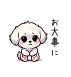 一年使えるマルチーズ（個別スタンプ：14）