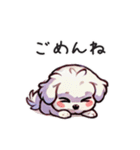 一年使えるマルチーズ（個別スタンプ：15）