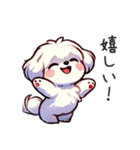 一年使えるマルチーズ（個別スタンプ：17）