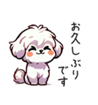 一年使えるマルチーズ（個別スタンプ：21）