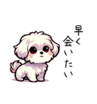 一年使えるマルチーズ（個別スタンプ：22）