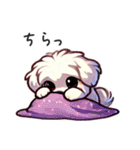 一年使えるマルチーズ（個別スタンプ：24）