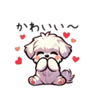 一年使えるマルチーズ（個別スタンプ：27）