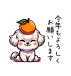 一年使えるマルチーズ（個別スタンプ：30）