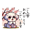 一年使えるマルチーズ（個別スタンプ：31）