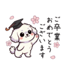 一年使えるマルチーズ（個別スタンプ：32）