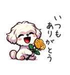 一年使えるマルチーズ（個別スタンプ：34）