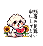 一年使えるマルチーズ（個別スタンプ：36）