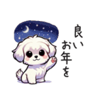 一年使えるマルチーズ（個別スタンプ：39）