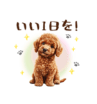 一年中使える♪トイプードルの毎日スタンプ（個別スタンプ：3）