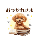 一年中使える♪トイプードルの毎日スタンプ（個別スタンプ：5）
