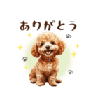 一年中使える♪トイプードルの毎日スタンプ（個別スタンプ：9）