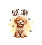 一年中使える♪トイプードルの毎日スタンプ（個別スタンプ：10）