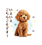 一年中使える♪トイプードルの毎日スタンプ（個別スタンプ：12）