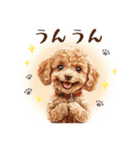 一年中使える♪トイプードルの毎日スタンプ（個別スタンプ：13）