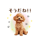 一年中使える♪トイプードルの毎日スタンプ（個別スタンプ：14）