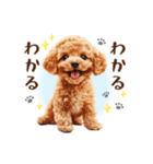 一年中使える♪トイプードルの毎日スタンプ（個別スタンプ：15）