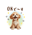 一年中使える♪トイプードルの毎日スタンプ（個別スタンプ：17）