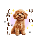 一年中使える♪トイプードルの毎日スタンプ（個別スタンプ：18）